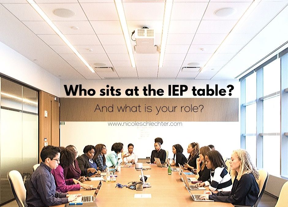 Who sits at the IEP table? And what is your role?